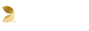 EVO Gaming Partner